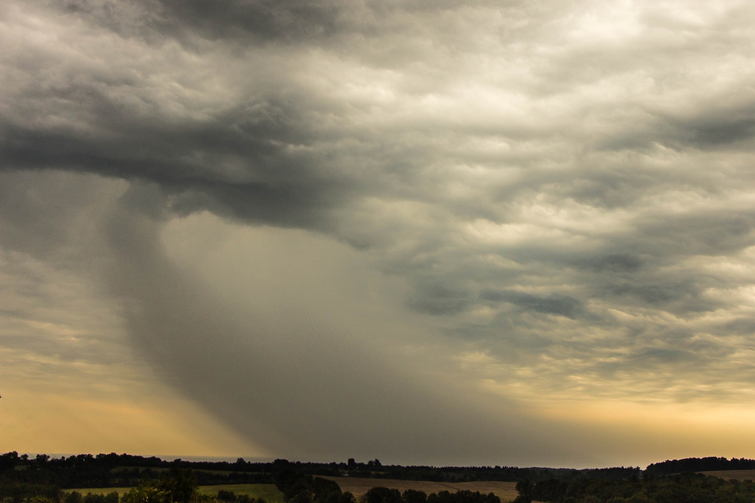 View Deluge by Chris Knox