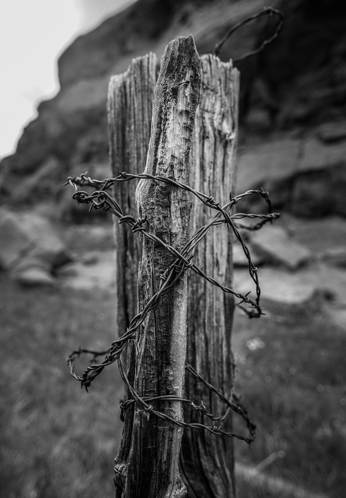 View Jesse James's Corral by Henri Halle