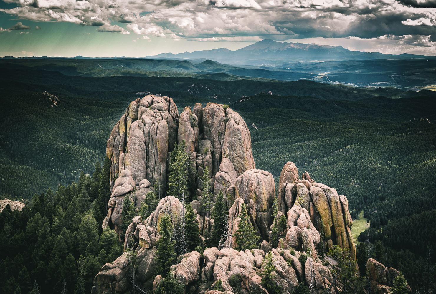 View Devil's Head Lookout South by Henri Halle
