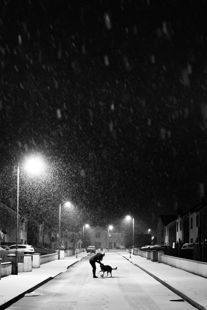 View Snow by Brian Loane