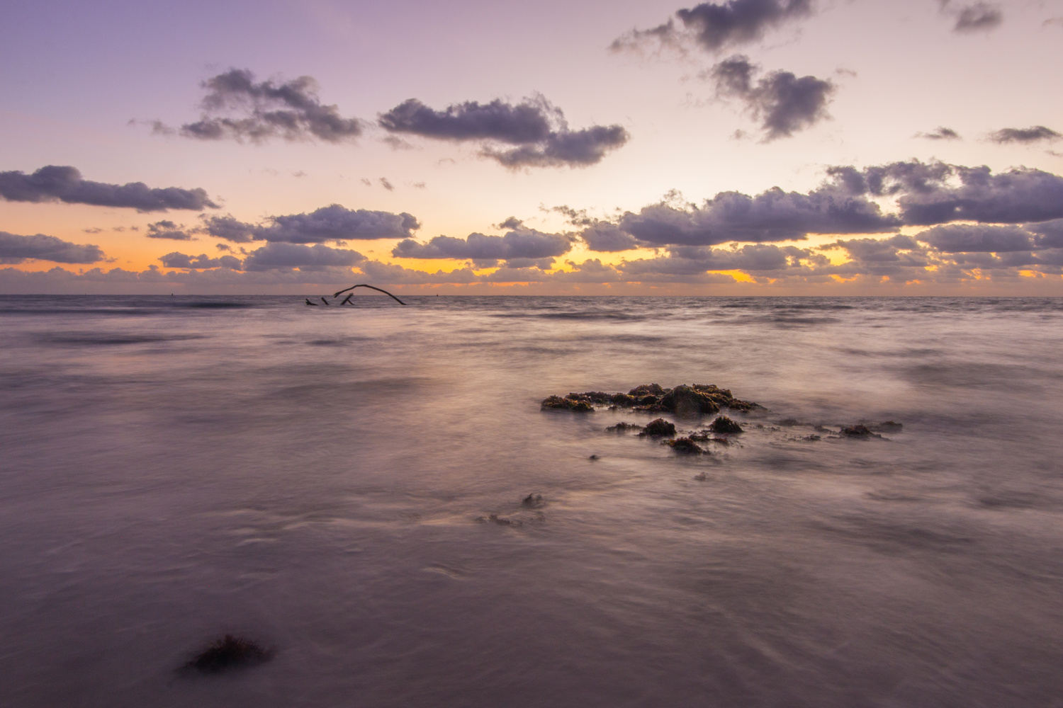 View Pink Morning by Aiden Owen