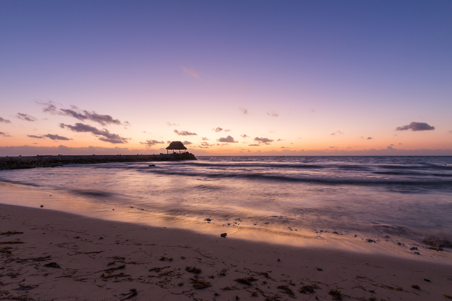 View Purple Seas by Aiden Owen
