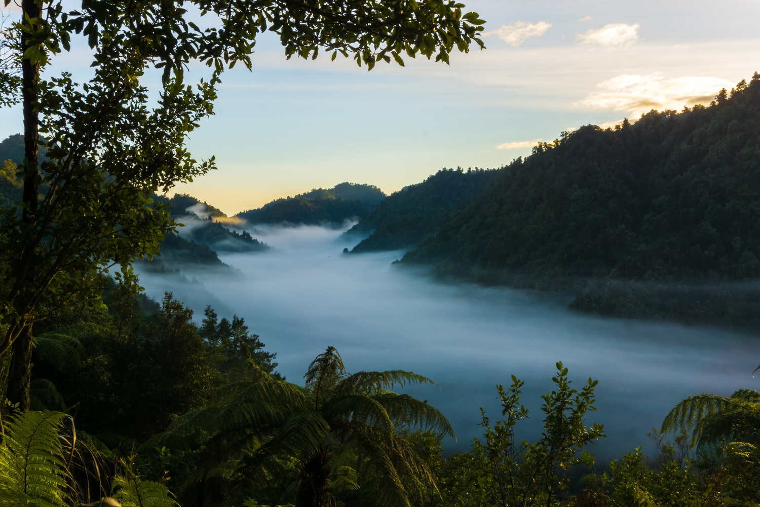 View Fog in the Hollows by Luke Hamlin