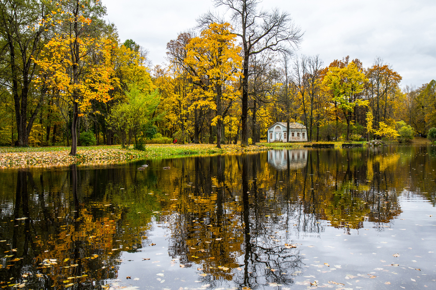 View Alexander Park in Pushkin by Teo Teddy