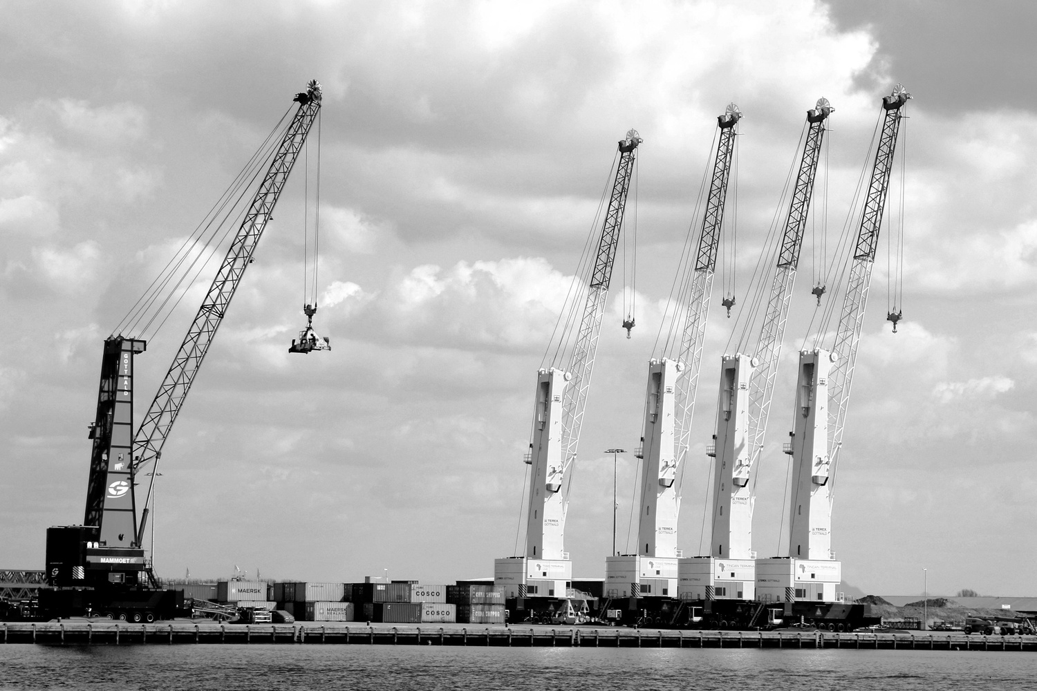 View Crane's by Wilfried van Weijnsbergen