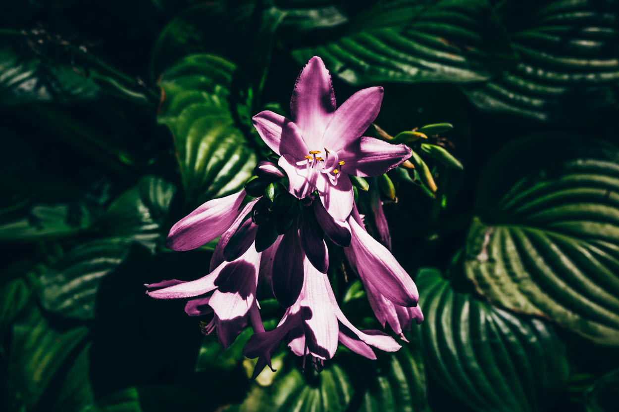 View Untitled 2 by Duane Dinham