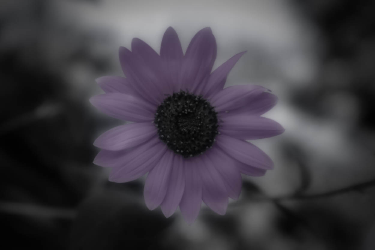 View Untitled 3 by Duane Dinham