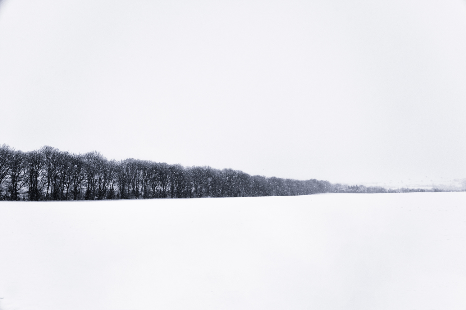 View Untitled 13 by Jack Bronziet