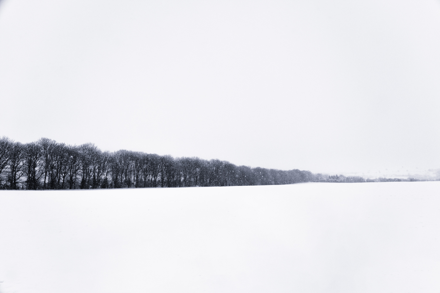 View Untitled 11 by Jack Bronziet