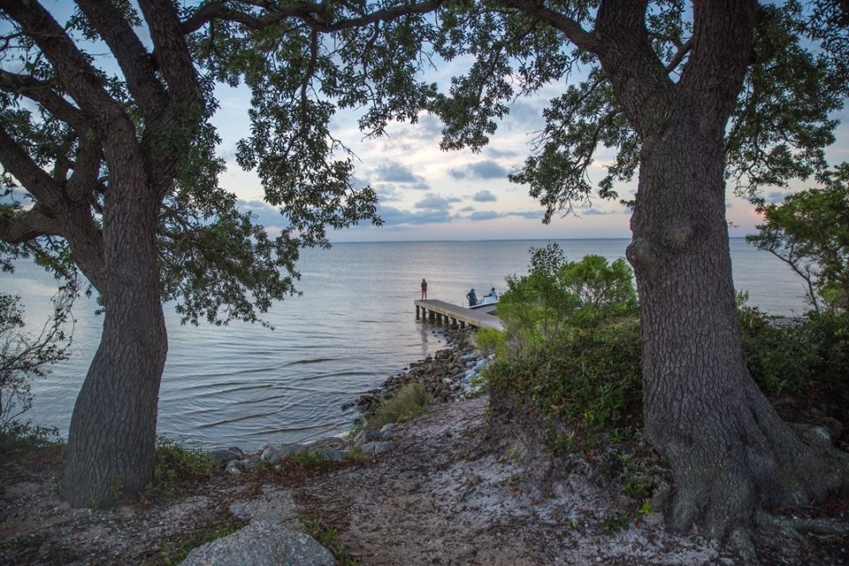 View Dock by adam barefoot