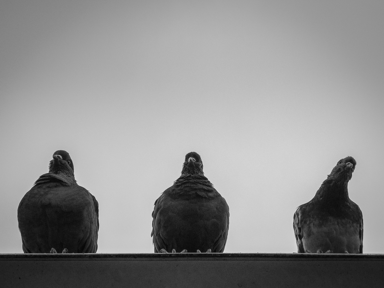 View Untitled 8 by Piotr Pogonowski