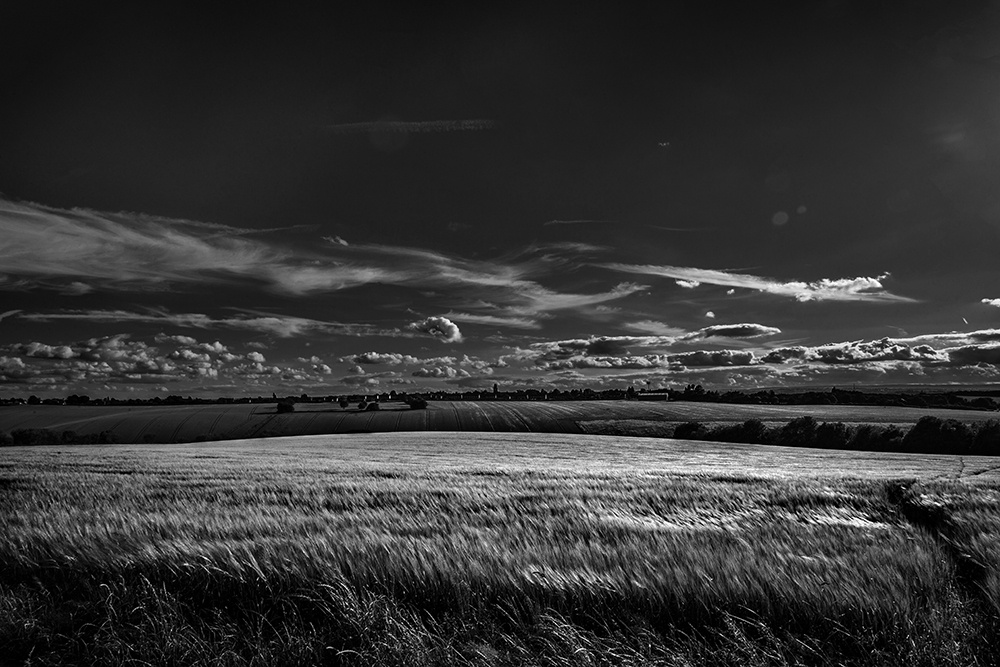 View A field somewhere in Mono by Lance Burkitt