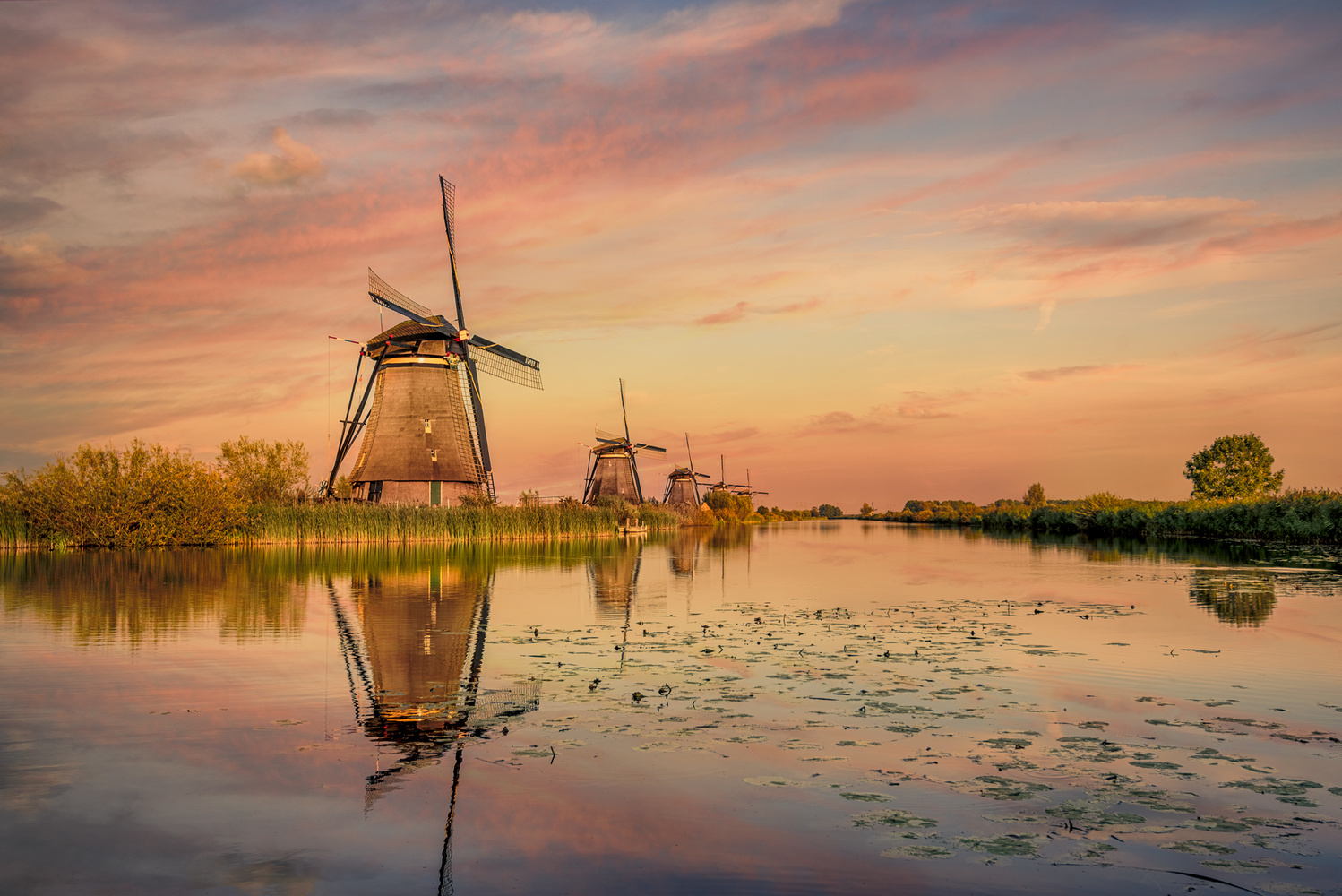 View Untitled 1 by Leon Brouwer