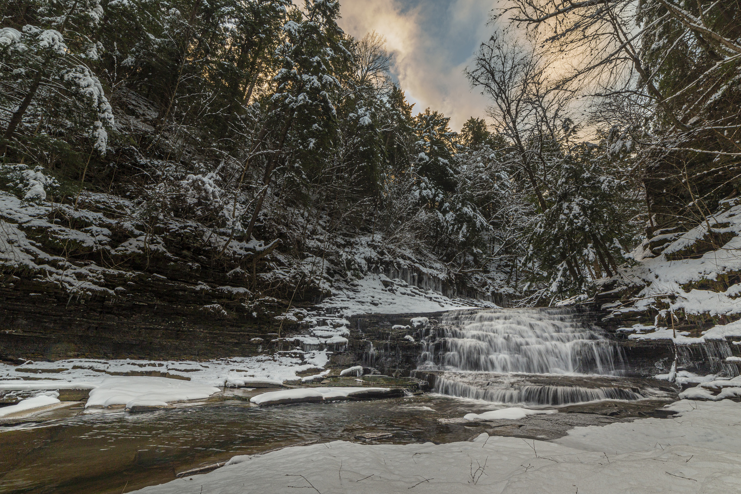 View Untitled 5 by Greg Milunich