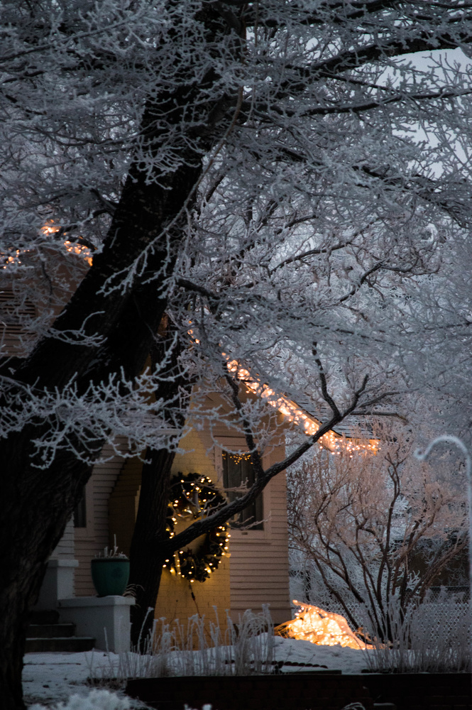 View Untitled 4 by Dawn Maeseele