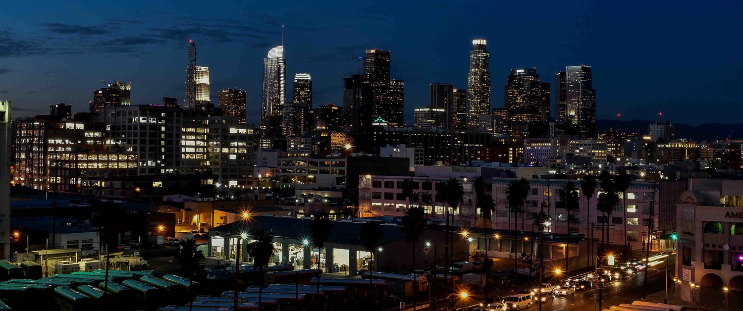 View Downtown LA Skyline by Steven Reliford