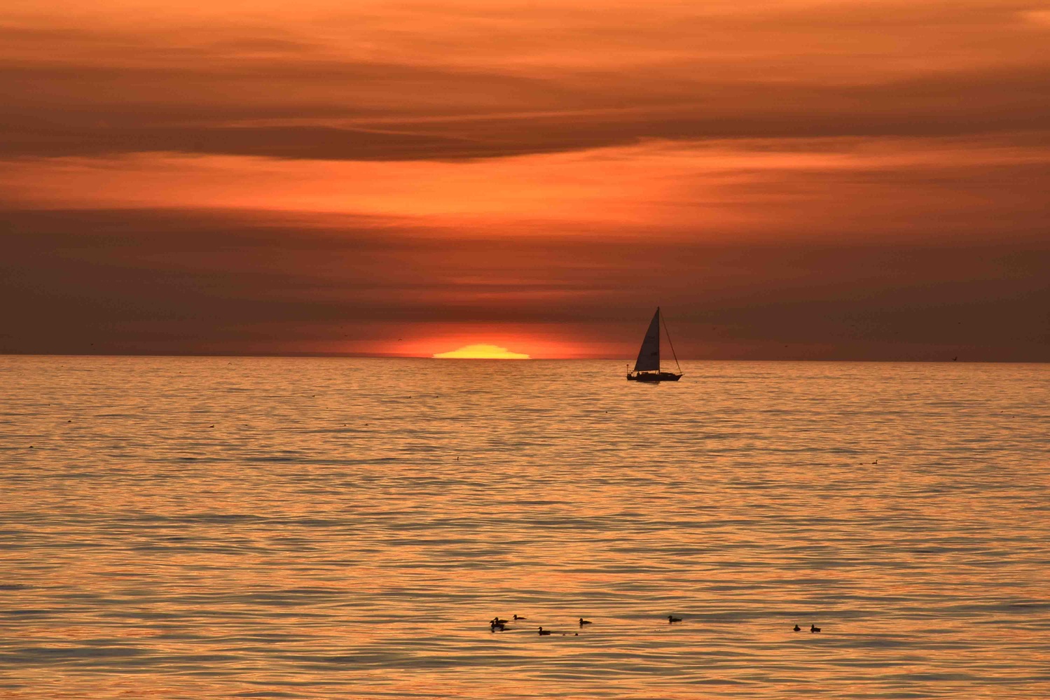 View Sailing Away by Steven Reliford