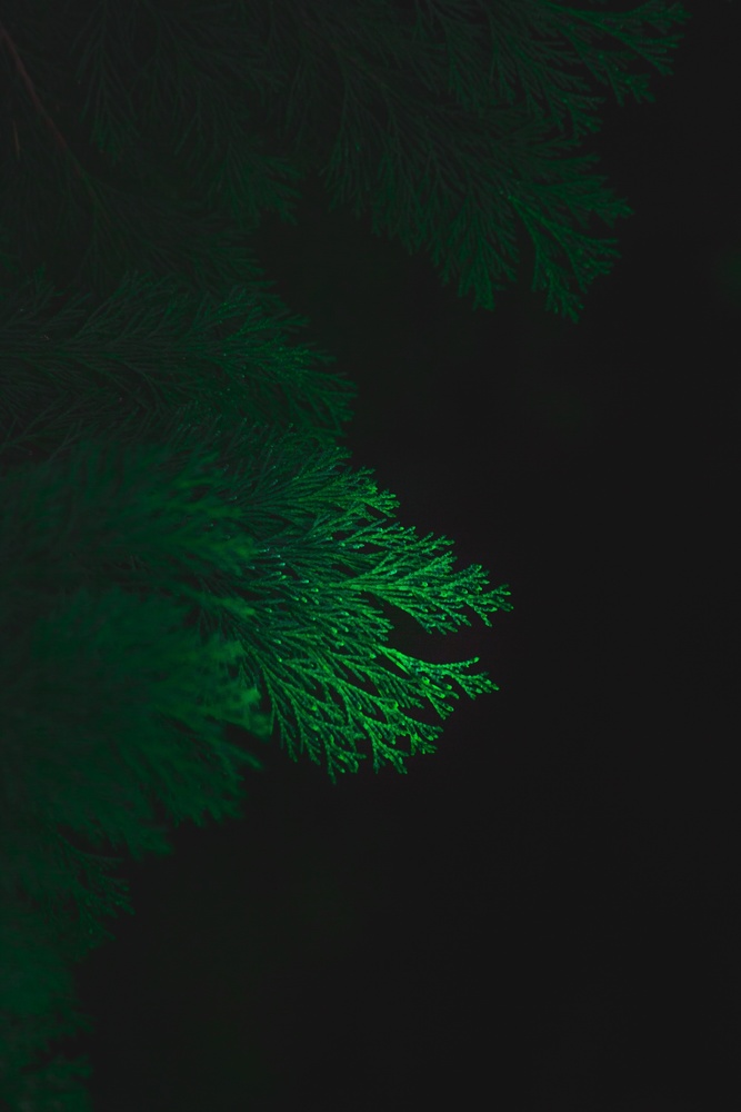 View Untitled 12 by roberto motoi