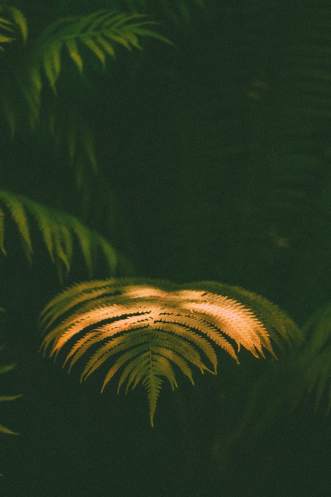 View Untitled 13 by roberto motoi