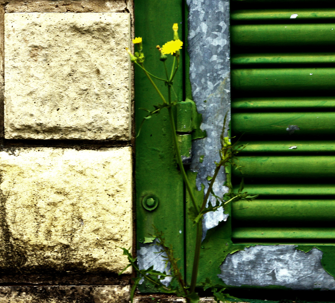 View Taking back. by Richard Robinson