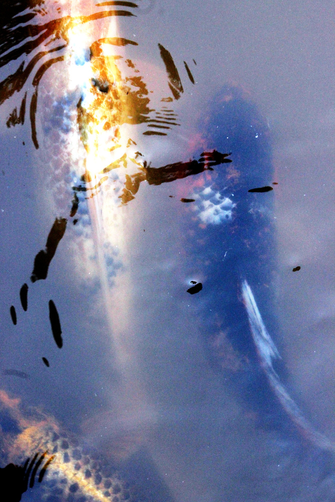 View splash of colour by Richard Robinson