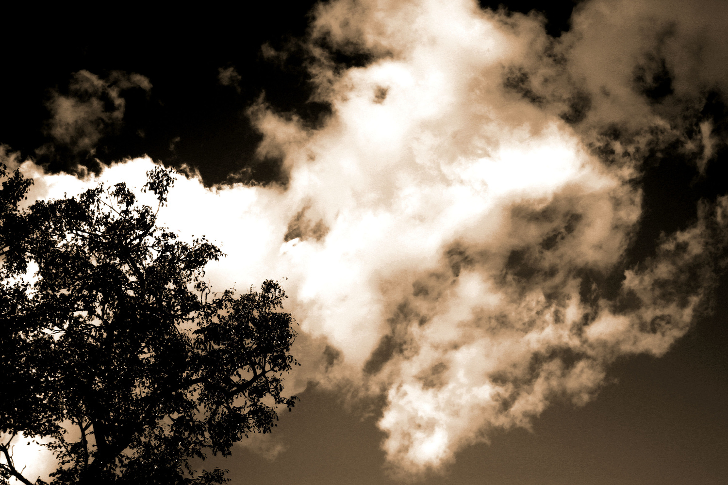 View Afternoon sky by Richard Robinson