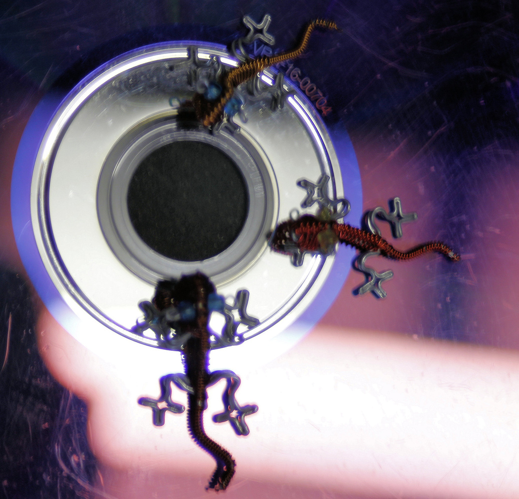 View music is pumping by Richard Robinson