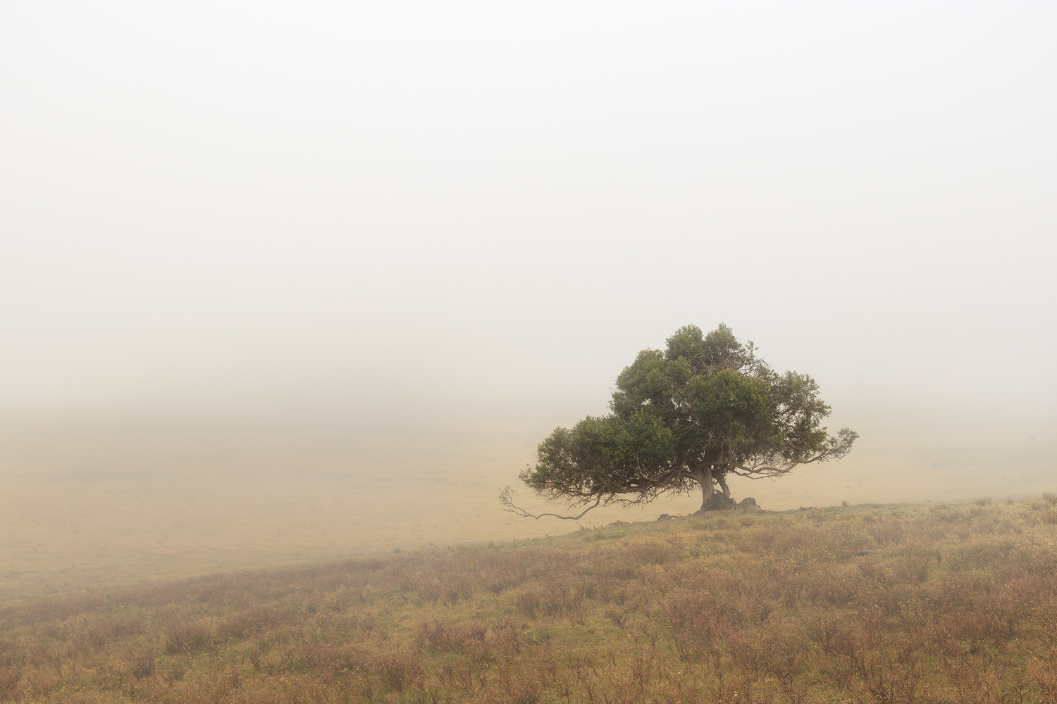 View Untitled 4 by steven algie