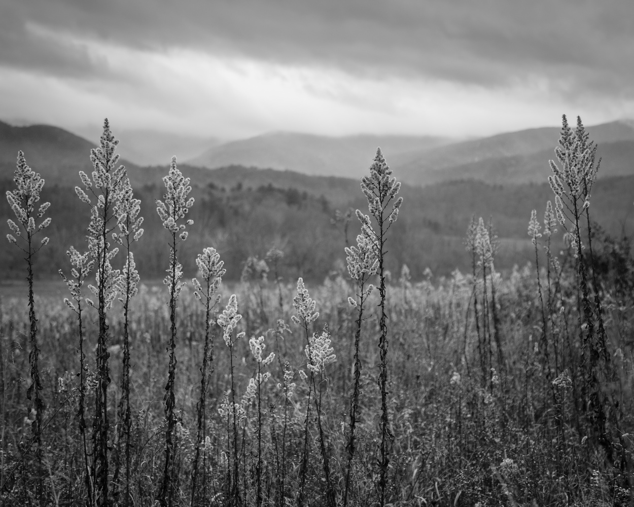 View Cade’s Cove by Brandon Bowling