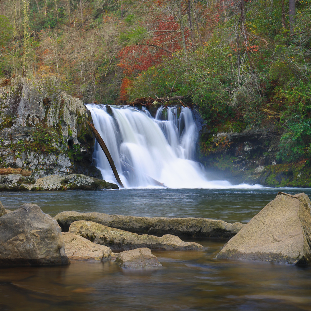 View Abrams Falls by Brandon Bowling