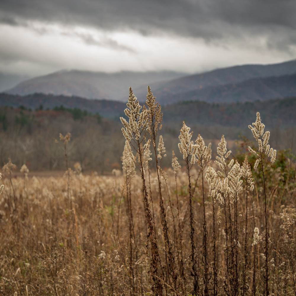 View Storm rolling in by Brandon Bowling