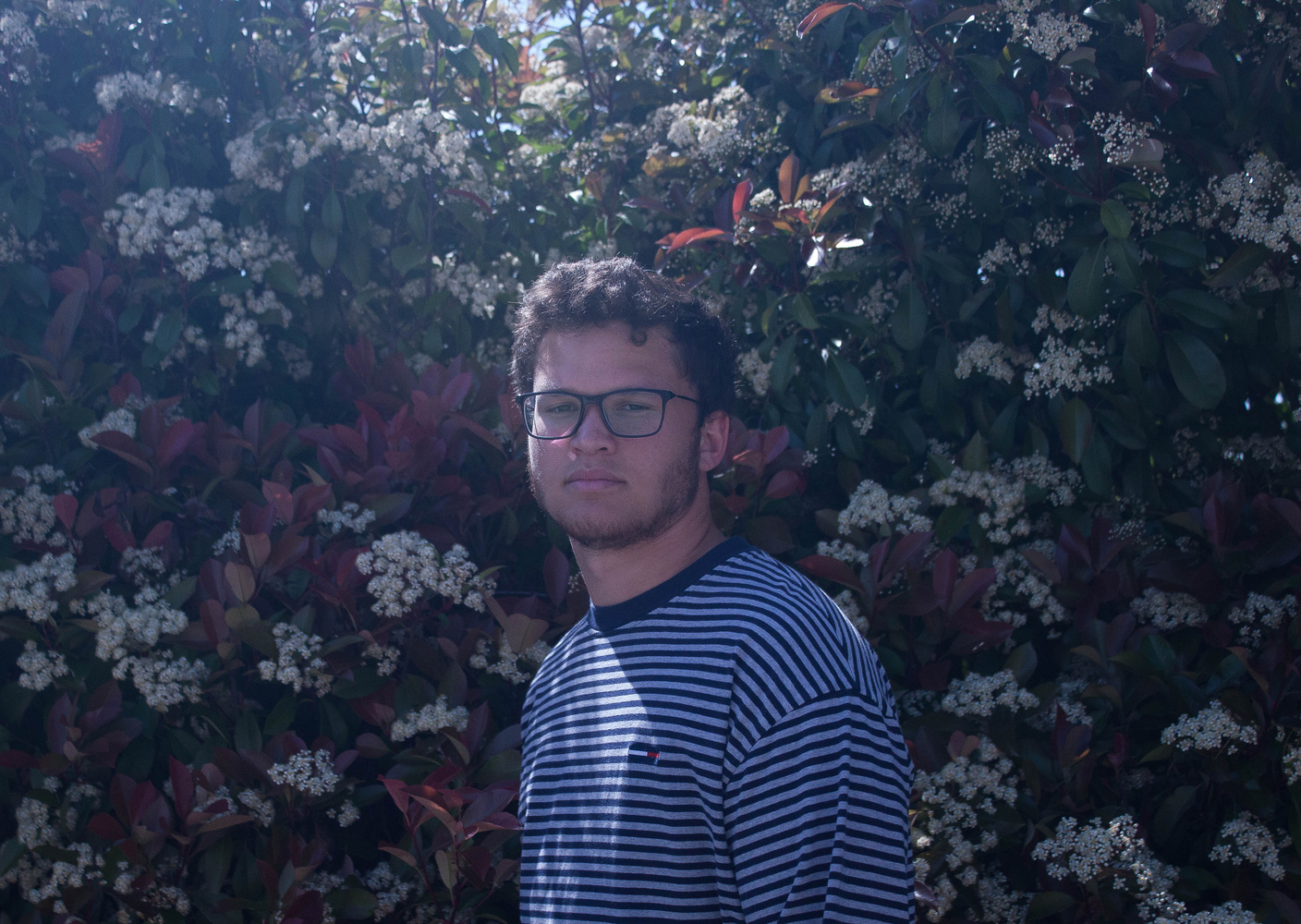 View In the Bushes by Kacey Phillips