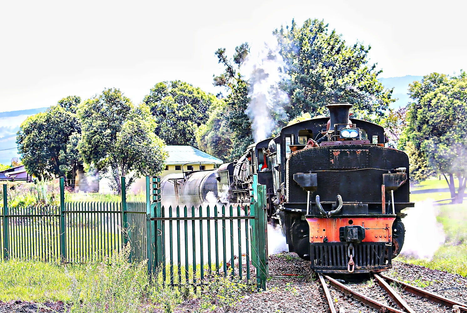 View Steam Train by Gavin Plessis