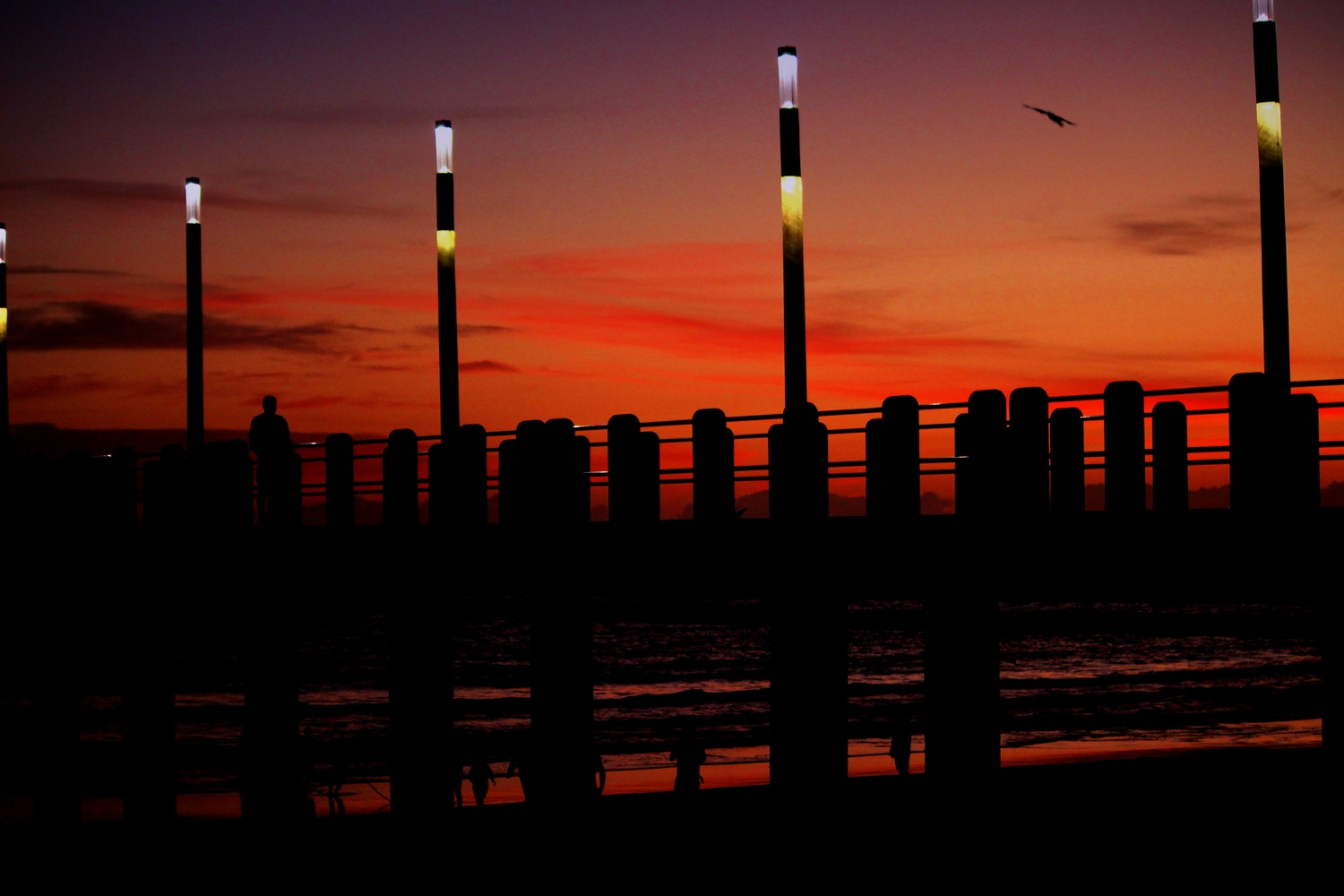 View Early Morning light by Gavin Plessis