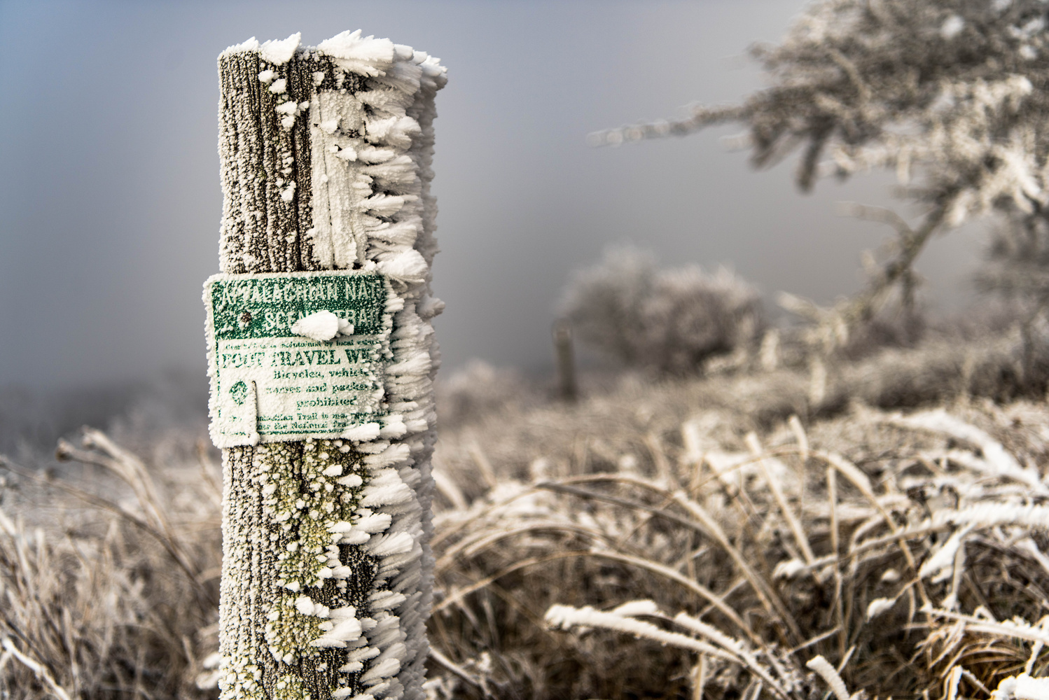 View Too cold to hike by Jordan Hollandsworth