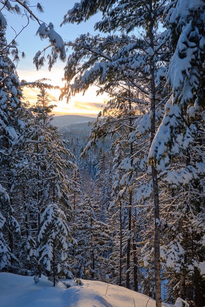 View Untitled 1 by TOMASZ WK
