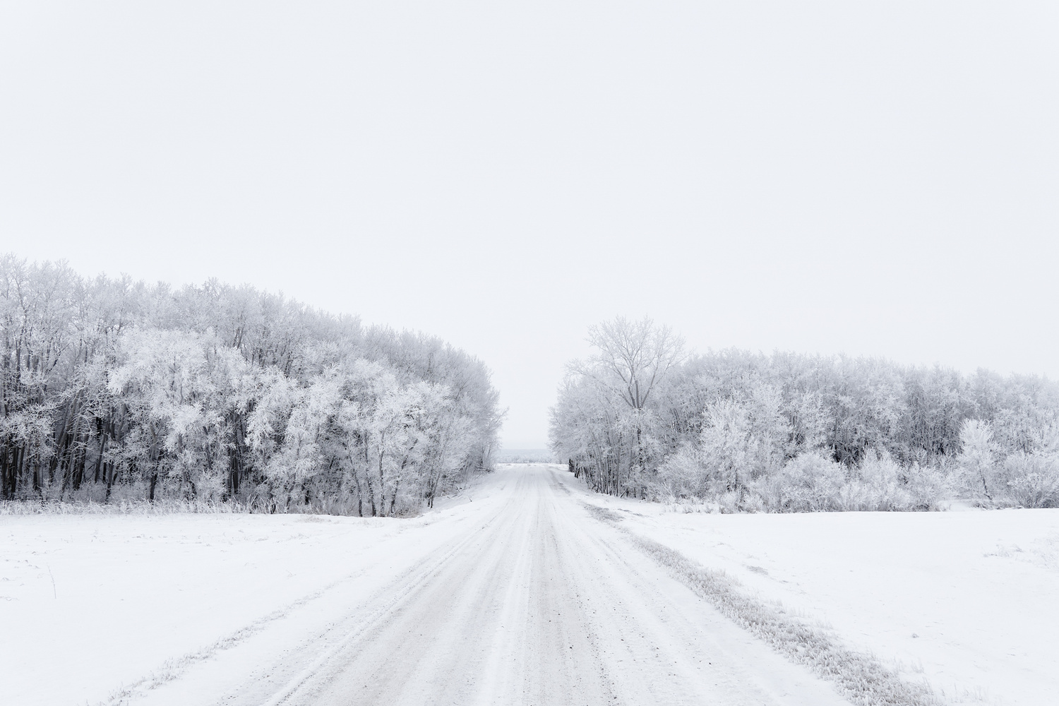 View Untitled 15 by Jarrett Rathert