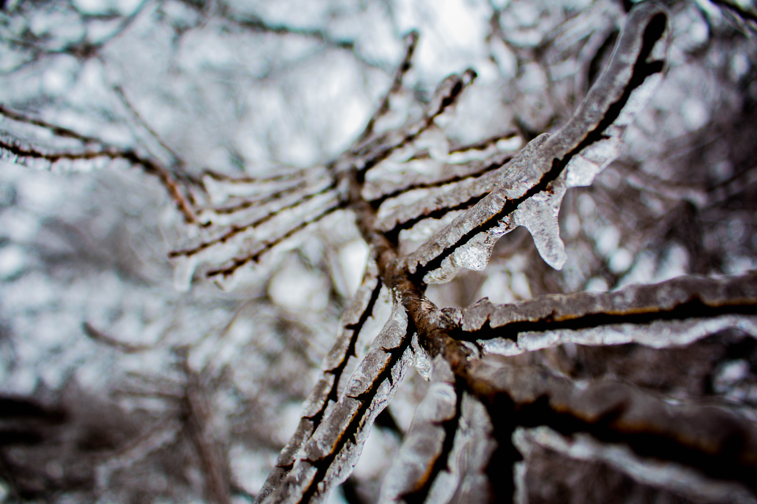 View Untitled 11 by Drew Gumins