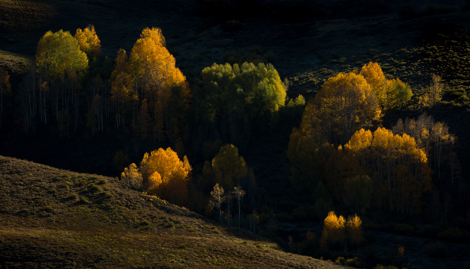 View Untitled 8 by Wade Shanley