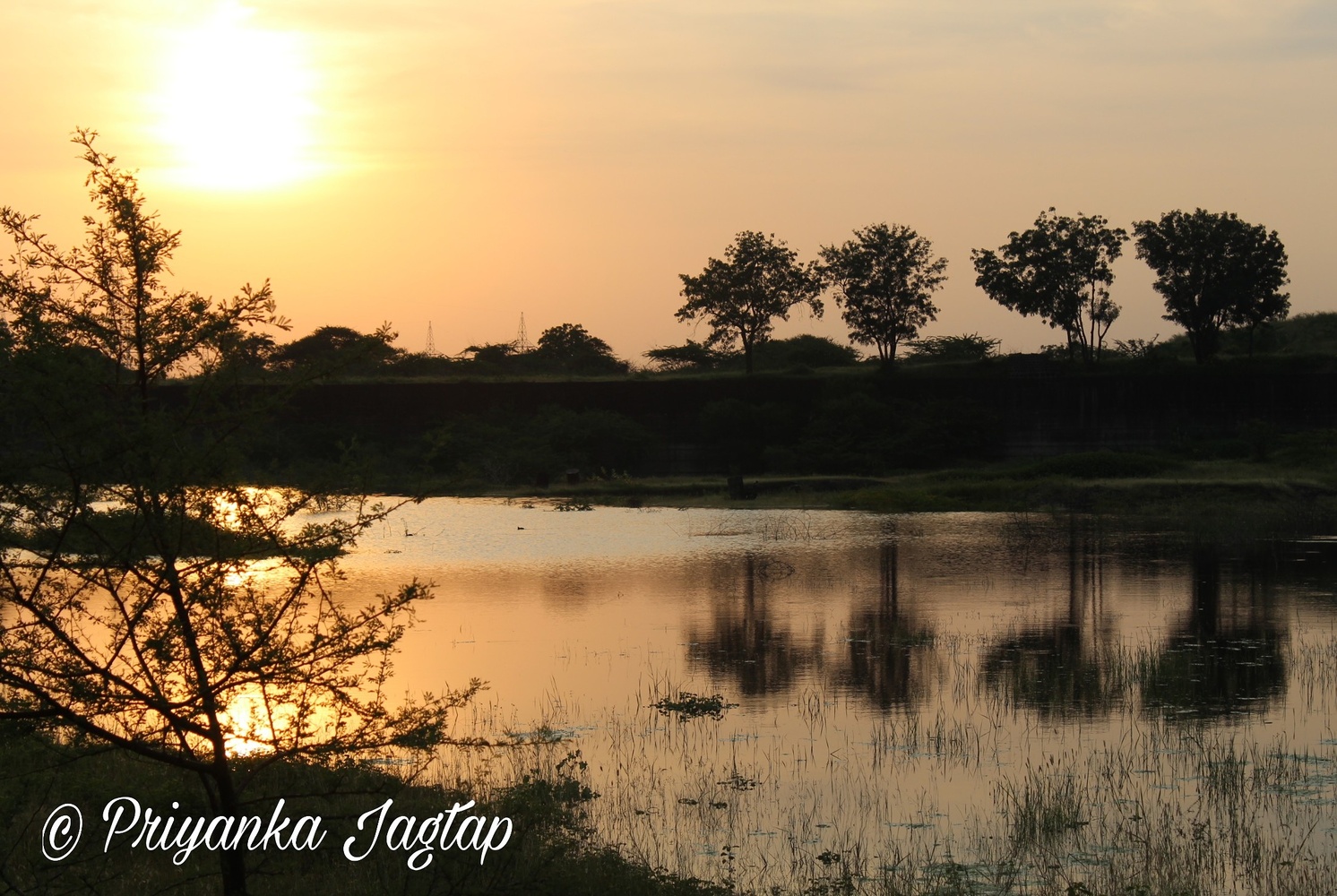 View Morning scene..nature beauty by Priyanka Jagtap
