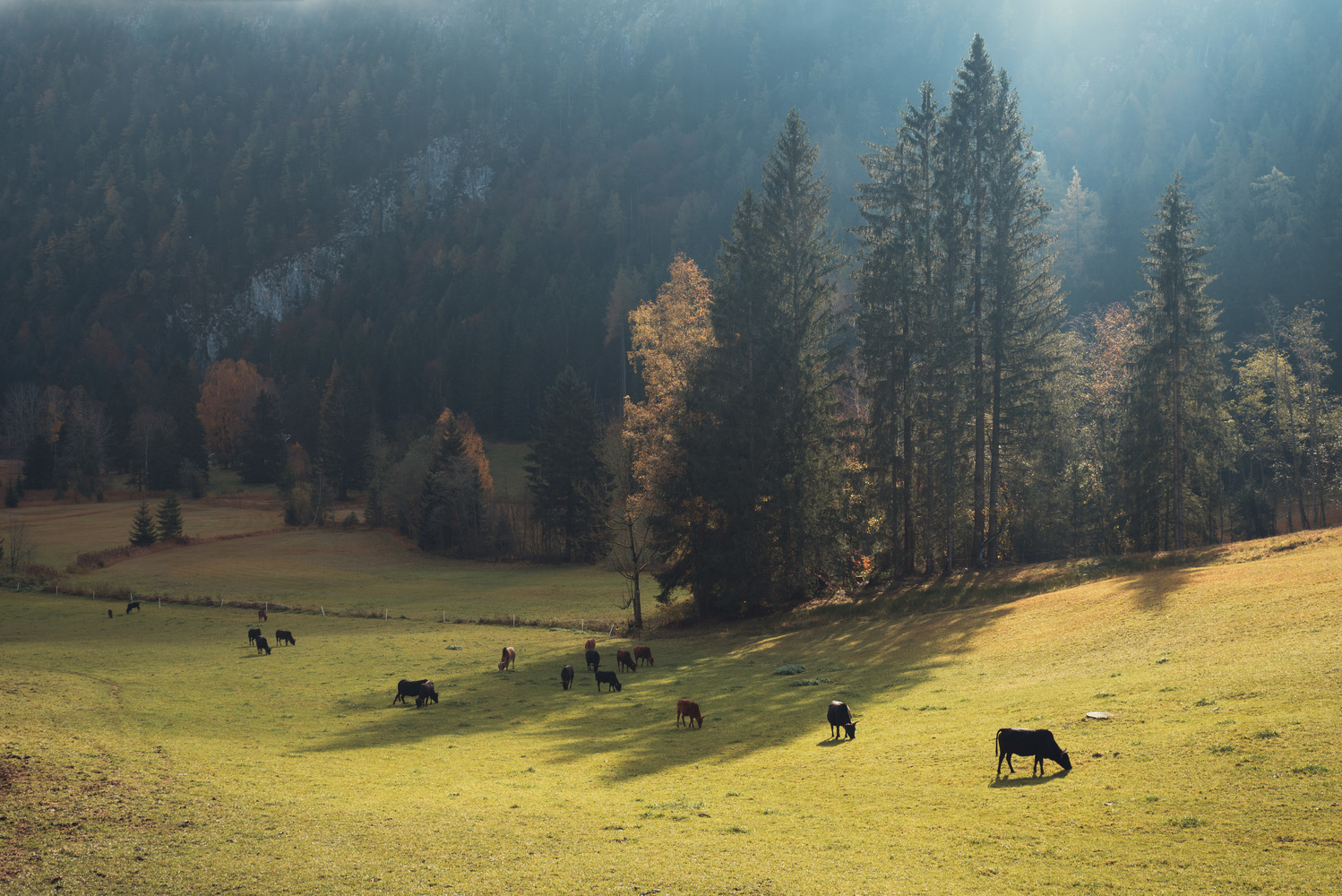 View Untitled 10 by Marlon Hambrusch
