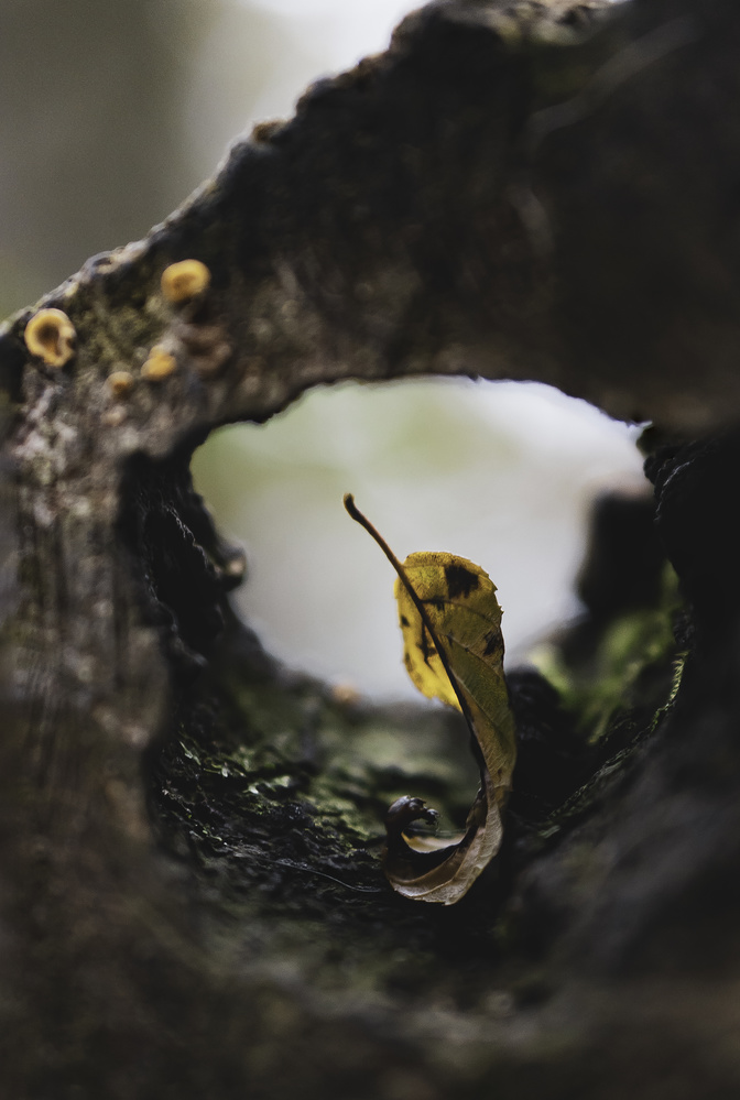 View Untitled 3 by Andreas Michael