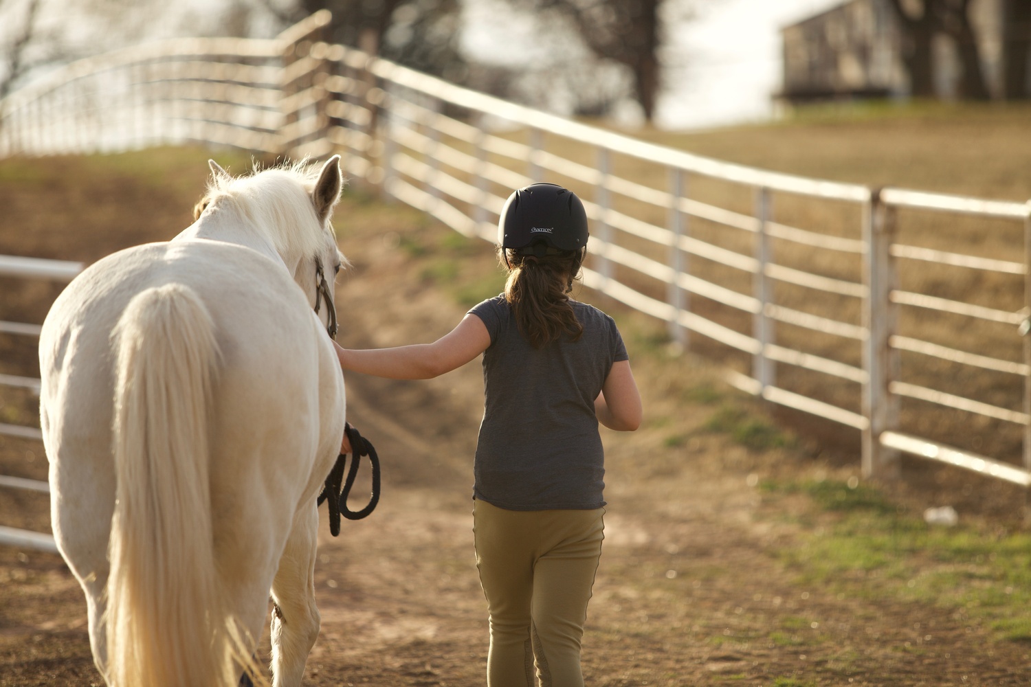 View Old horse / Young rider by Scott Krell