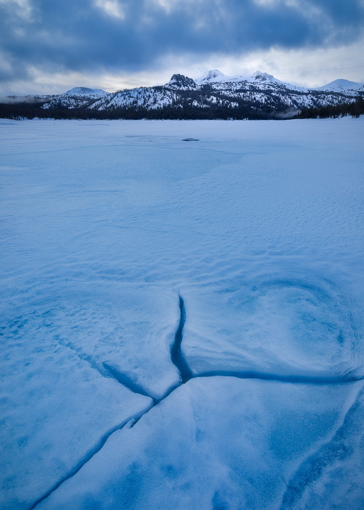 View Untitled 5 by Evan Burnett