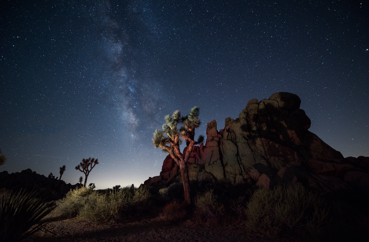 View Milky Way over Joshua Tree by Chen Guo