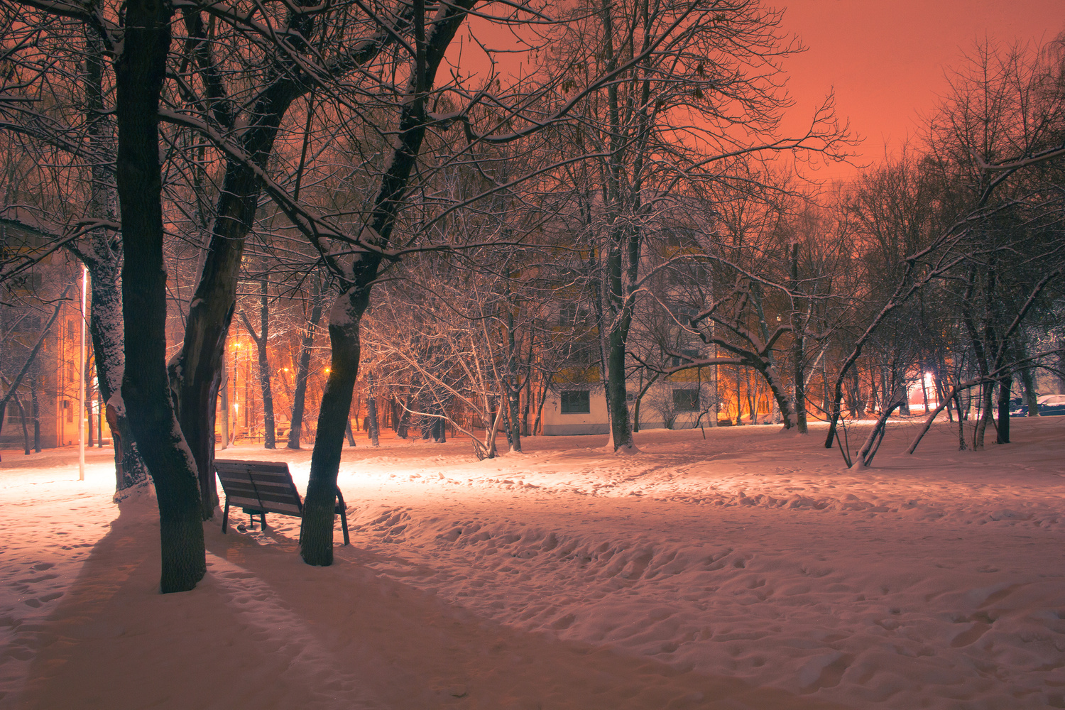 View Serenity by Julia Yolshina