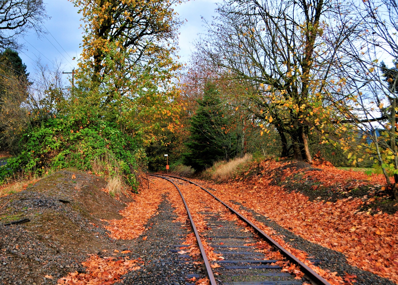 View Railroad tracks by Bret Henry