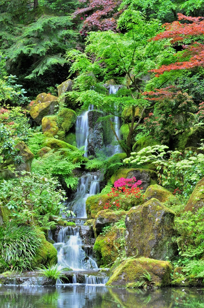 View Waterfall Portland Japanese garden by Bret Henry