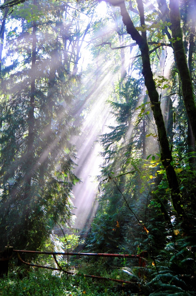 View Light by Bret Henry