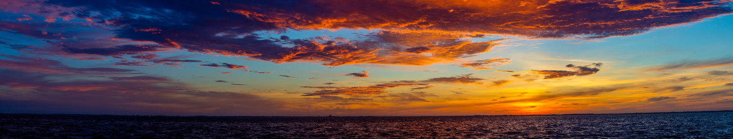 View Untitled 1 by Tom Cushing